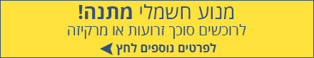 מנוע חשמלי